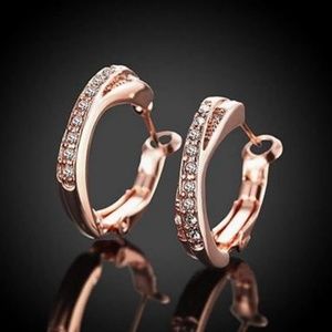 🌺Rose Gold Earrings with Zircon Accents Stones